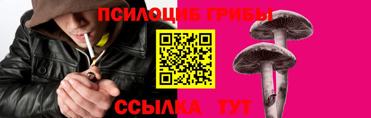 Галлюциногенные грибы GOLDEN TEACHER  Вход с VPN  Галлюциногенные грибы прущие грибы  Екатеринбург 